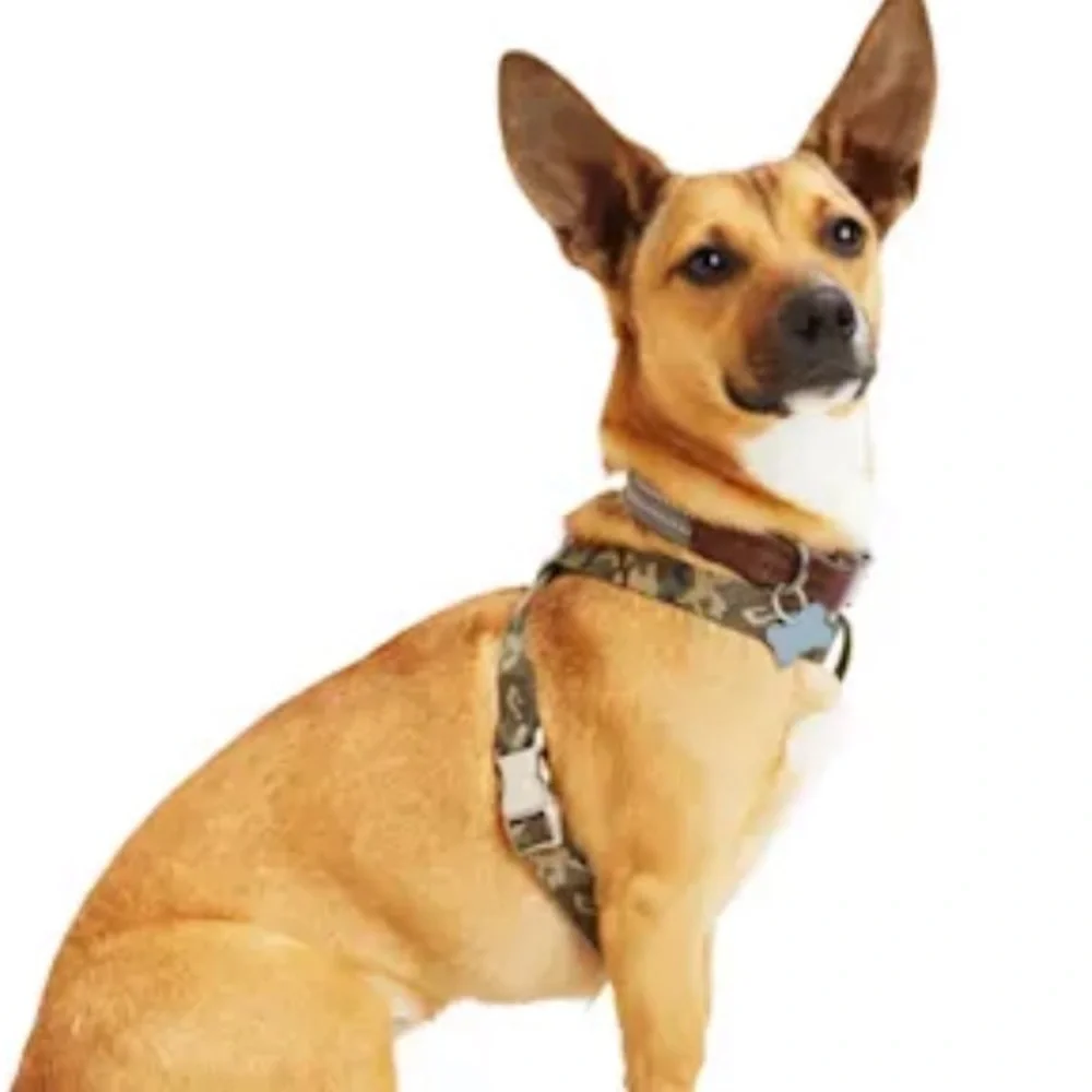 NWT Redy green Camo dog harness M